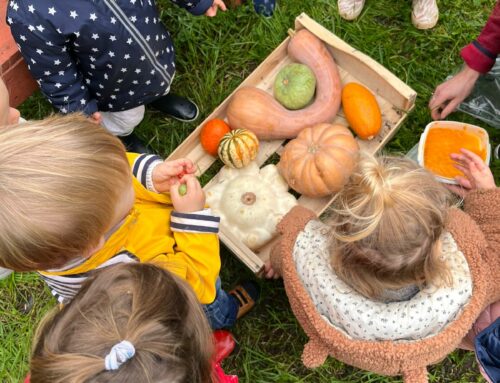 Atelier potager Sol La Si 24.10 – Chasse aux courges et dégustation